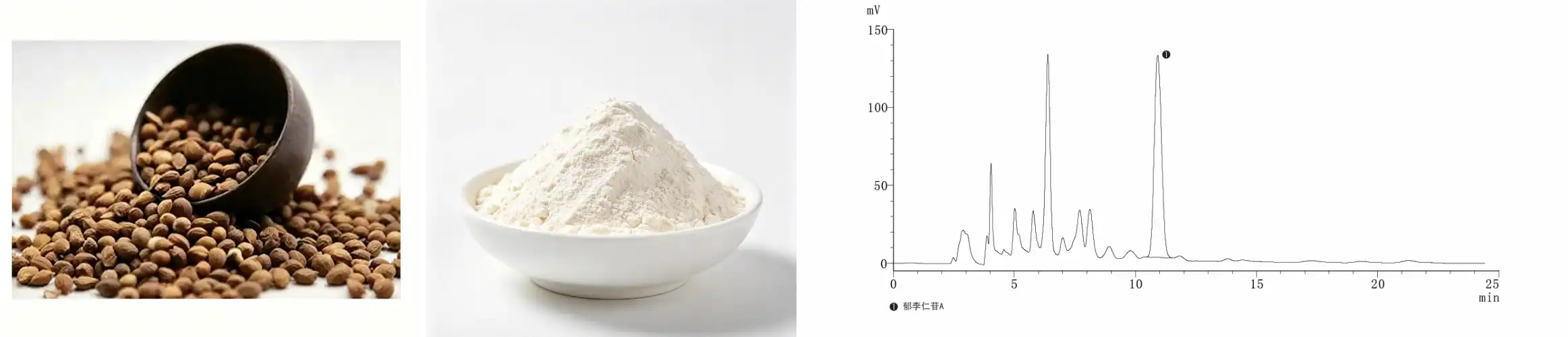 Semen Pruni Extract Semen Pruni Extract